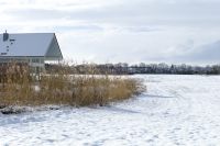 mueritz_fh_berichte_1200_roebel_winter_09.jpg