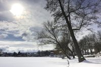 mueritz_fh_berichte_1200_roebel_winter_02.jpg