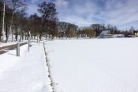 mueritz_fh_berichte_1200_roebel_winter_03.jpg