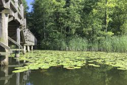baltice_berichte_1000_vierseen_31.jpg